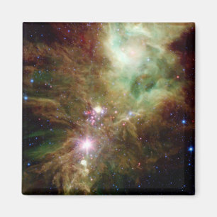Newborn stars in the Christmas Tree cluster Magnet