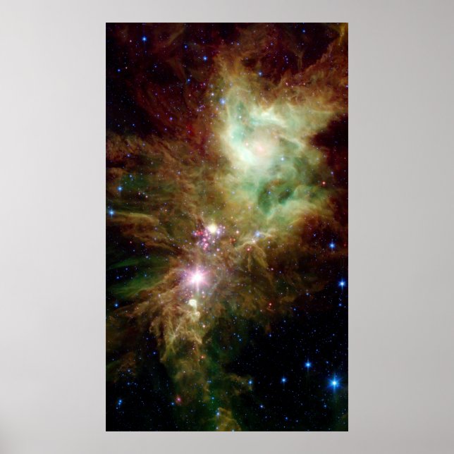 Newborn stars in the Christmas Tree cluster Poster (Front)