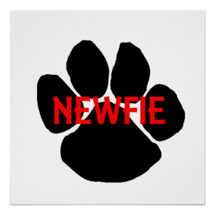 newfie name paw poster
