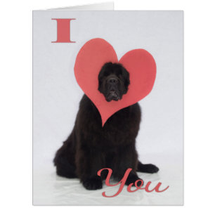 Newfie Valentine