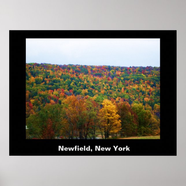 NEWFIELD NEW YORK poster (Front)