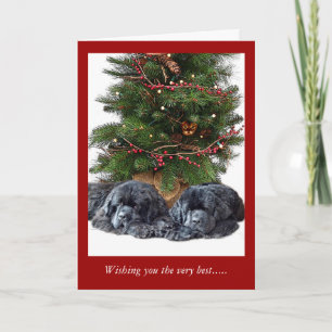 Newfies & the Christmas Cat Holiday Card