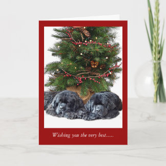 Newfies & the Christmas Cat Holiday Card