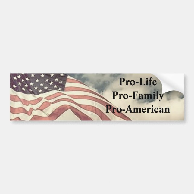 newflag2, Pro-LifePro-FamilyPro-American Bumper Sticker (Front)