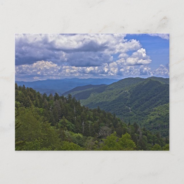 Newfound Gap, Great Smoky Mountains Postcard (Front)