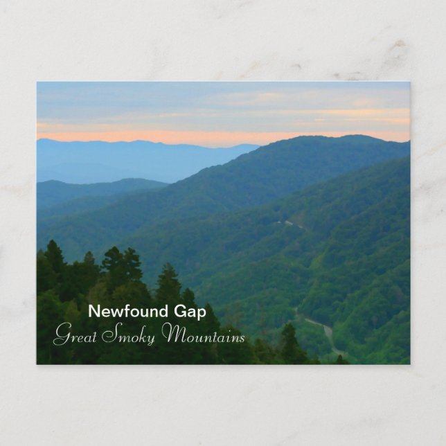 Newfound Gap - Great Smoky Mountains Postcard (Front)