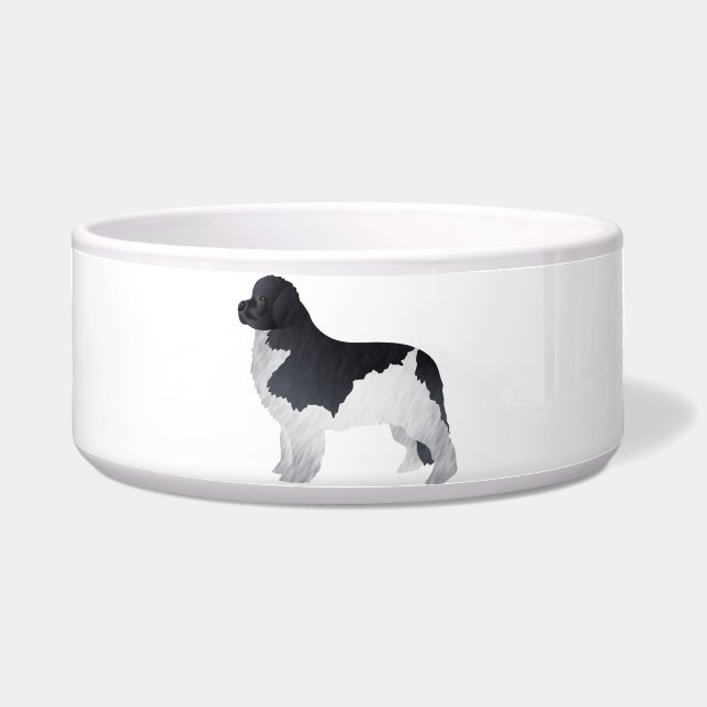 Newfoundland (Front)