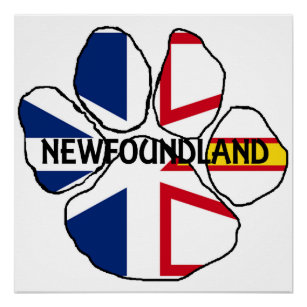 Newfoundland_and_Labrador flag name paw Poster