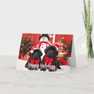 Newfoundland Black Dog Puppy Holiday Card
