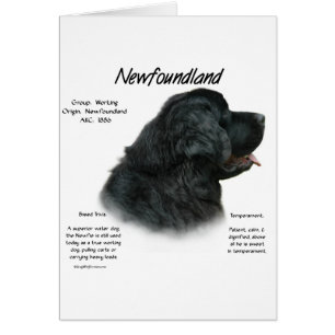 Newfoundland (Black) History Design