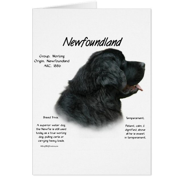 Newfoundland (Black) History Design (Front)