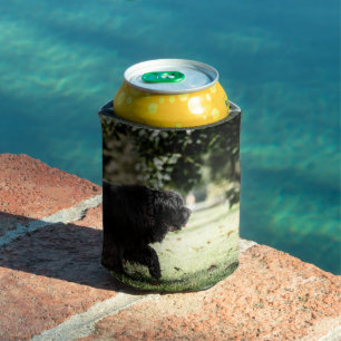 newfoundland black in motion can cooler