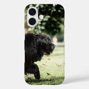 newfoundland black in motion iPhone 16 case