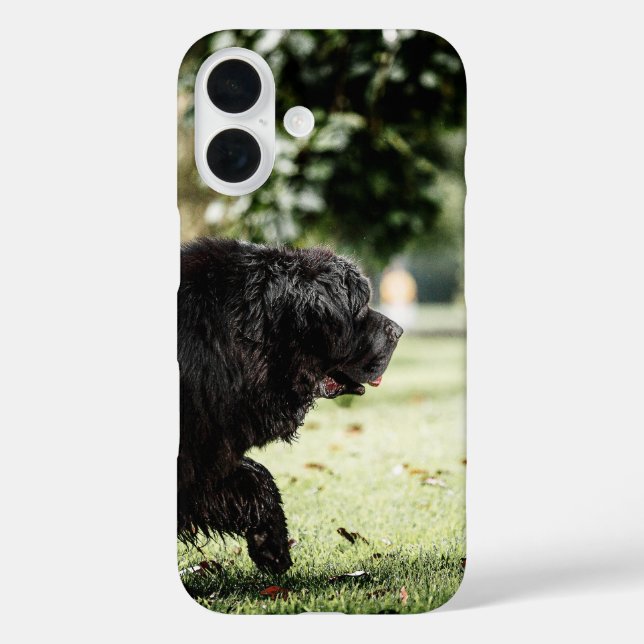 newfoundland black in motion Case-Mate iPhone case (Back)