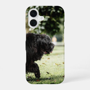 newfoundland black in motion iPhone 16 case
