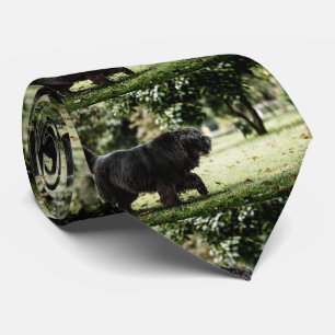 newfoundland black in motion tie