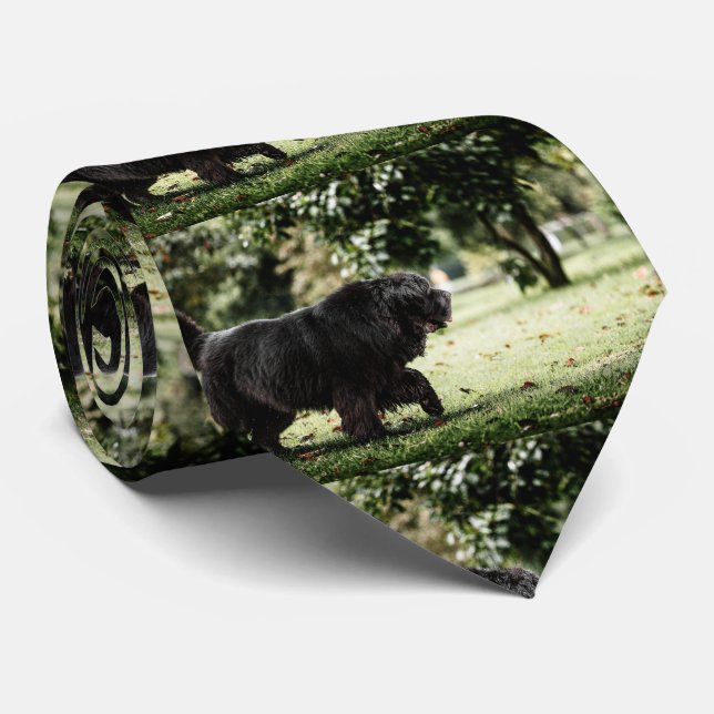 newfoundland black in motion tie (Rolled)
