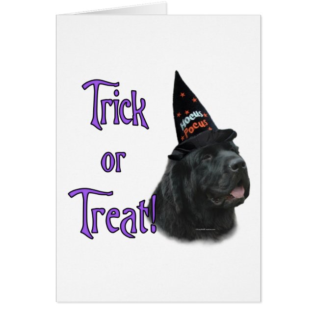 Newfoundland (black) Trick (Front)