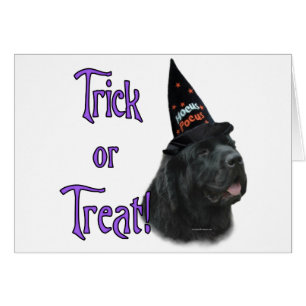 Newfoundland (black) Trick