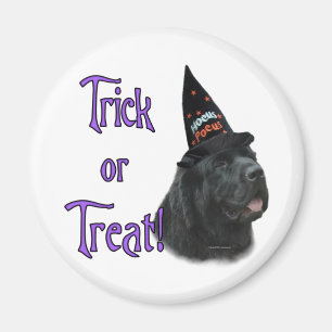 Newfoundland (black) Trick Magnet