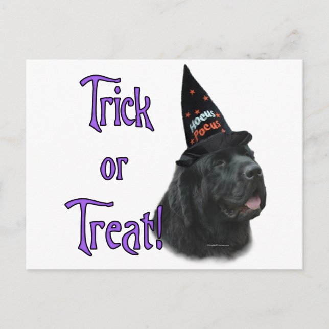 Newfoundland (black) Trick Postcard (Front)