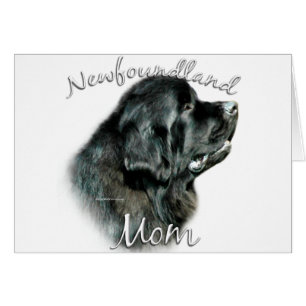 Newfoundland (blk) Mum 2