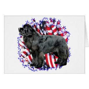 Newfoundland (blk) Patriot