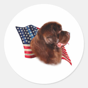 Newfoundland (brown) Flag Classic Round Sticker