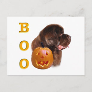 Newfoundland Brown Halloween BOO Postcard