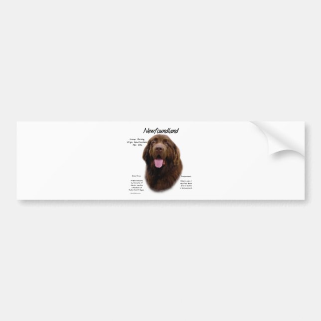 Newfoundland (Brown) History Design Bumper Sticker (Front)