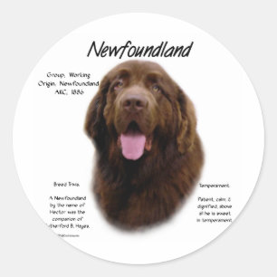 Newfoundland (Brown) History Design Classic Round Sticker