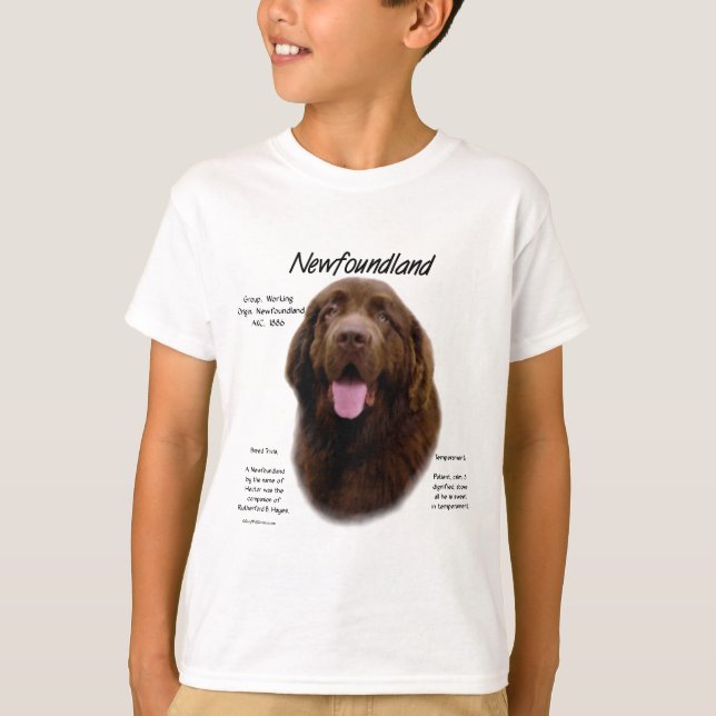 Newfoundland (Brown) History Design T-Shirt (Front)