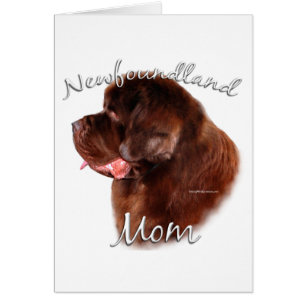 Newfoundland (brown) Mum 2