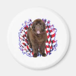 Newfoundland (brown) Patriot Magnet