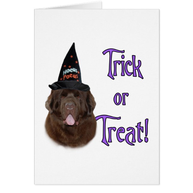 Newfoundland (brown) Trick (Front)