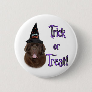 Newfoundland (brown) Trick 6 Cm Round Badge