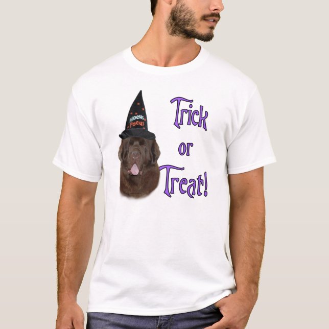 Newfoundland (brown) Trick T-Shirt (Front)