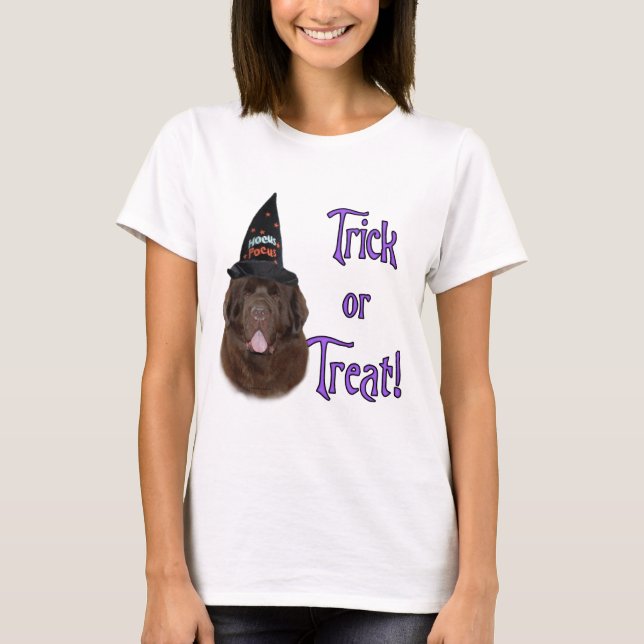 Newfoundland (brown) Trick T-Shirt (Front)