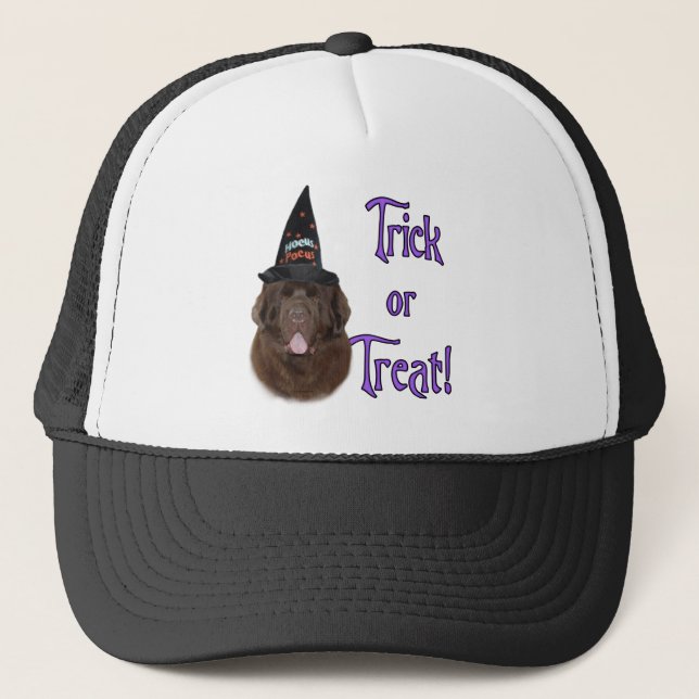 Newfoundland (brown) Trick Trucker Hat (Front)
