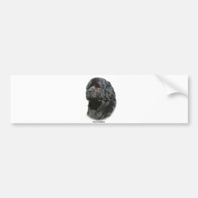Newfoundland Bumper Sticker (Front)