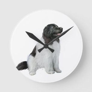 Newfoundland  (C) - Landseer #1 Round Clock