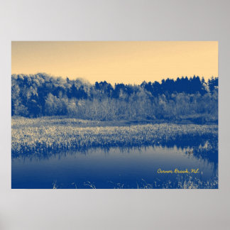 Newfoundland, Canada, Marshlands Trees and Water Poster