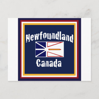 Newfoundland Canada Postcard