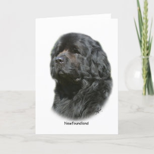 Newfoundland Card