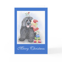 Newfoundland Christmas Greeting Card