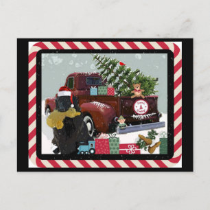 Newfoundland Christmas Holiday Postcard