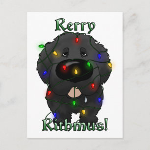 Newfoundland Christmas Lights Holiday Postcard