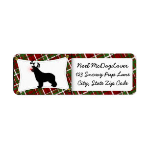 Newfoundland Christmas Return Address Label