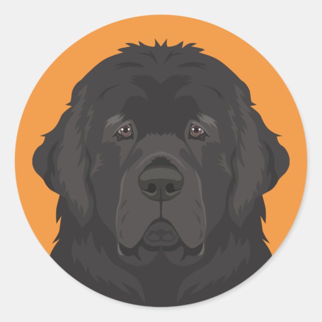 Newfoundland Classic Round Sticker (Front)