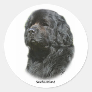 Newfoundland Classic Round Sticker